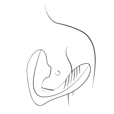 ROMP REVERB ESTIMULADOR PUNTO G Y SUCCIONADOR DE CLITORIS LILA