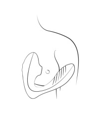 ROMP REVERB ESTIMULADOR PUNTO G Y SUCCIONADOR DE CLITORIS LILA