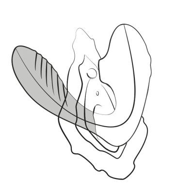 ROMP REVERB ESTIMULADOR PUNTO G Y SUCCIONADOR DE CLITORIS LILA