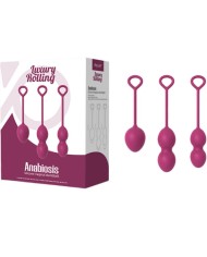 ARMONY ANABIOSIS PESAS VAGINALES 3 NIVELES BUGAMBILLA