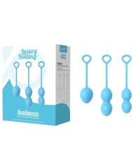 ARMONY ANABIOSIS PESAS VAGINALES 3 NIVELES AZUL
