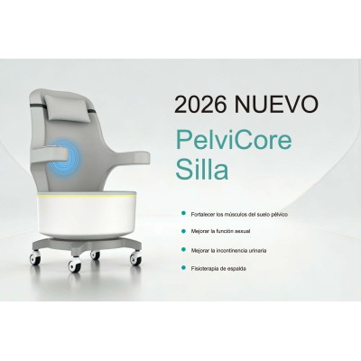 PelviCore Chair