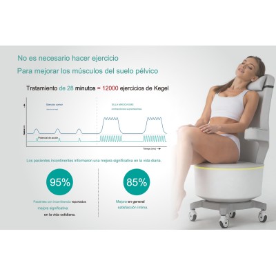 PelviCore Chair