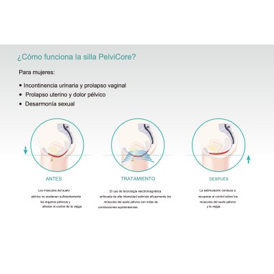PelviCore Chair