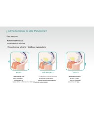 PelviCore Chair