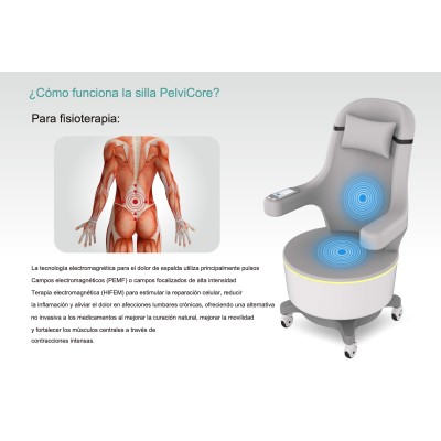 PelviCore Chair