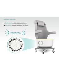 PelviCore Chair