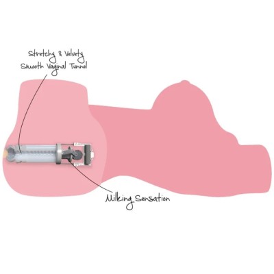 HIDDEN DESIRE HORNY MILKING BITCH TORSO MASTURBADOR FEMENINO 10 KG