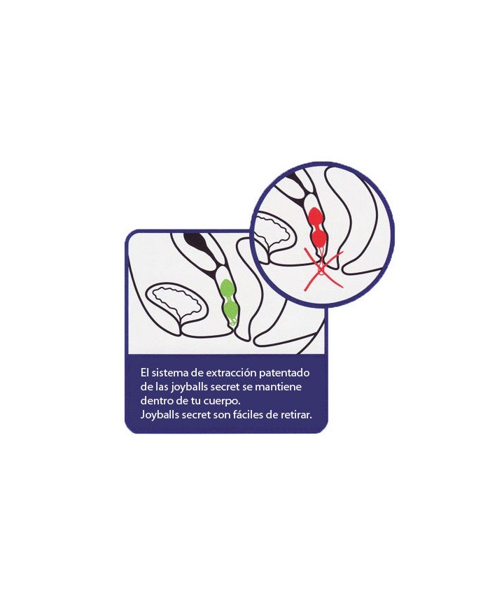 JOYDIVION JOYBALLS SECRET BOLAS CHINAS NEGRAS Y LILA