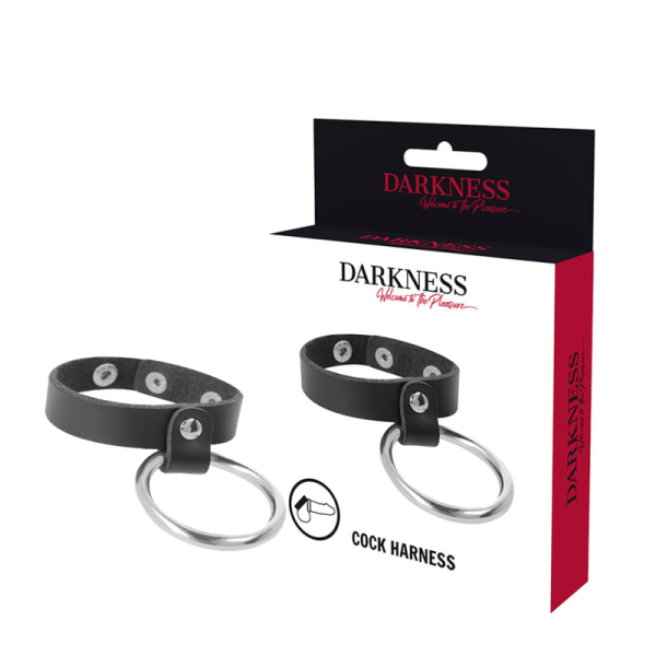 DARKNESS ANILLO DE METAL PARA EL PENE Y TESTICULOS