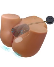 CRAZY BULL WENDY TRASERO FEMENINO REALISTA VIBRADOR SUCCIONADOR CON SONIDO 11 KG