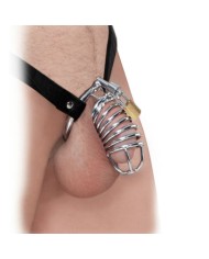 FETISH FANTASY EXTREME JAULA DE CASTIDAD METALICA AJUSTABLE CON CANDADO PARA PENE