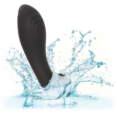 CALEXOTICS LIQUID SILICONE FLEX PROBE