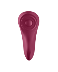 SATISFYER SEXY SECRET PANTY