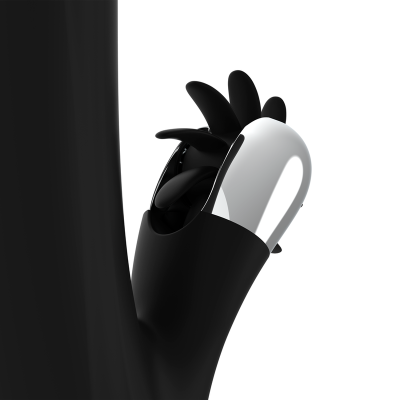 BLACKSILVER BUNNY STORM ROTATION VIBE