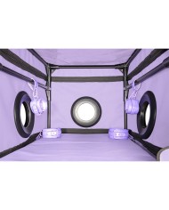 SECRET DOME KINK CLUB LA NICHE CABINA MORADO