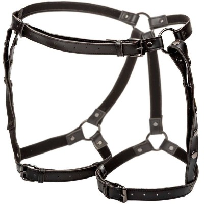 CALEXOTICS EUPHORIA ARNES DE MUSLO EQUITACION TALLA GRANDE
