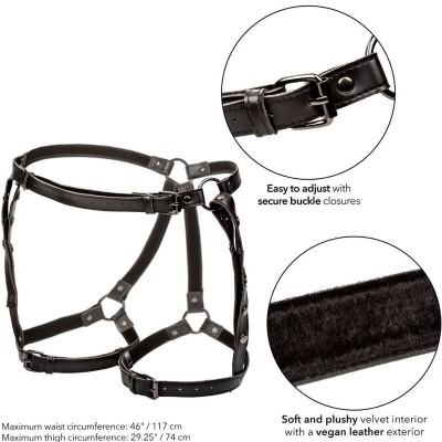 CALEXOTICS EUPHORIA ARNES DE MUSLO EQUITACION TALLA GRANDE