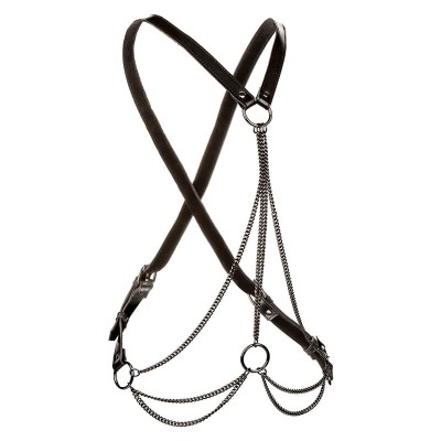 CALEXOTICS EUPHORIA ARNES DE MULTIPLES CADENAS PREMIUM