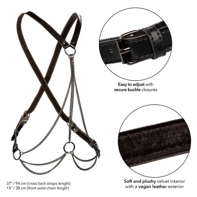 CALEXOTICS EUPHORIA ARNES DE MULTIPLES CADENAS PREMIUM