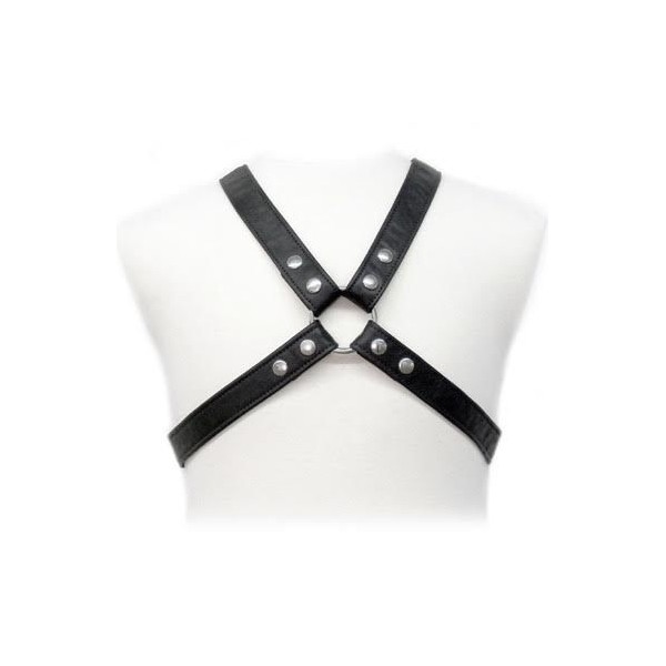 LEATHER BODY LASIC HARNESS IN GARMENT