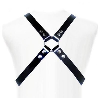 LEATHER BODY BASIC HARNESS