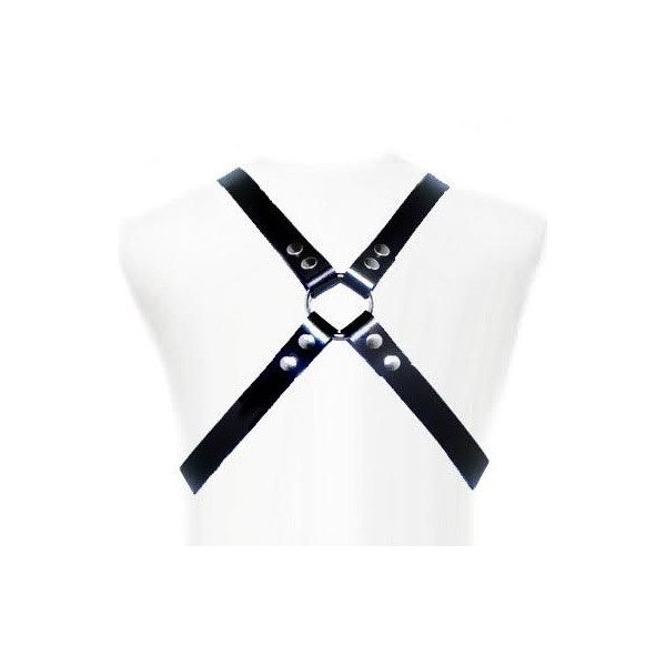 LEATHER BODY BASIC HARNESS