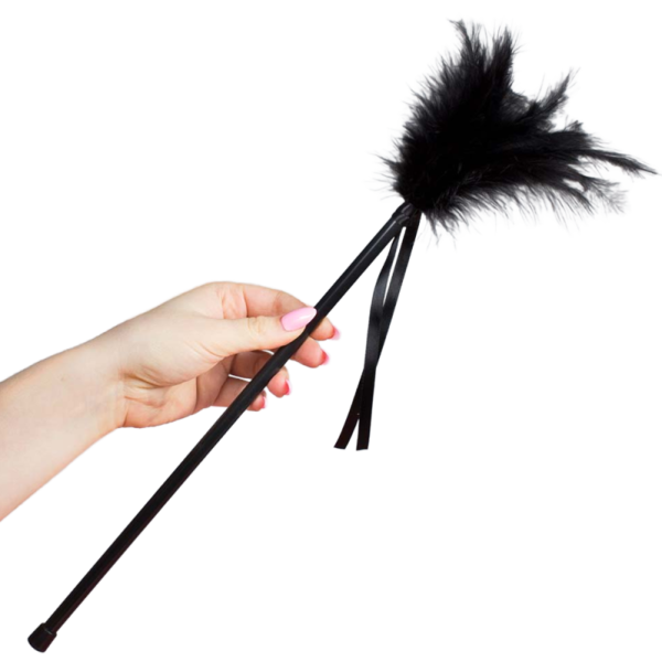 SECRETPLAY PLUMERO PLUMAS NEGRO 40 CM
