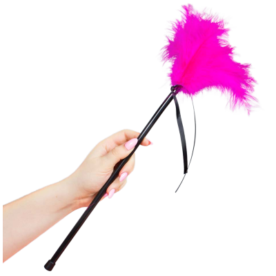 SECRETPLAY PLUMERO PLUMAS ROSA 40 CM