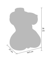 HIDDEN DESIRE JUICY DOUBLE D MASTURBADOR VAGINA Y ANO 5 KG