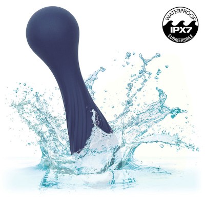 CALEXOTICS CHARISMA TEMPTATION MASAJEADOR 12 FUNCIONES MORADO