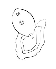 ROMP LEMON CRUSH ESTIMULADOR DE CLITORIS POR ONDAS DE PRESION AMARILLO