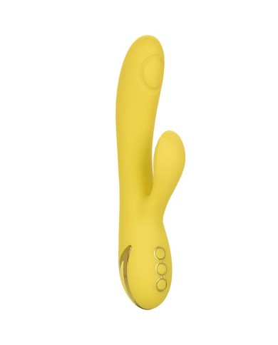 CALEXOTICS SAN DIEGO SEDUCTION CALEXOTICS SAN DIEGO SEDUCTION