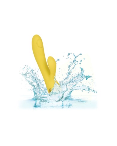 CALEXOTICS SAN DIEGO SEDUCTION CALEXOTICS SAN DIEGO SEDUCTION