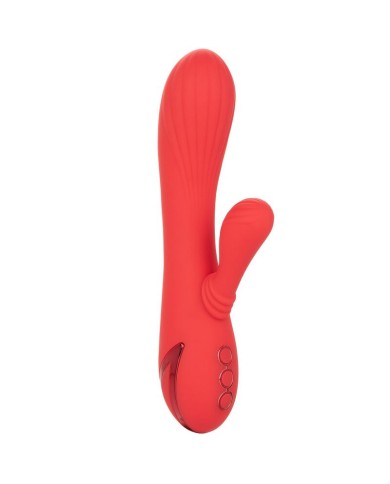 CALEXOTICS PALISADES PASSION RED CALEXOTICS PALISADES PASSION RED
