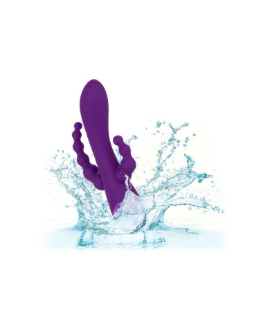 CALEXOTICS LONG BEACH BOOTYLICIOUS PURPLE CALEXOTICS LONG BEACH BOOTYLICIOUS PURPLE