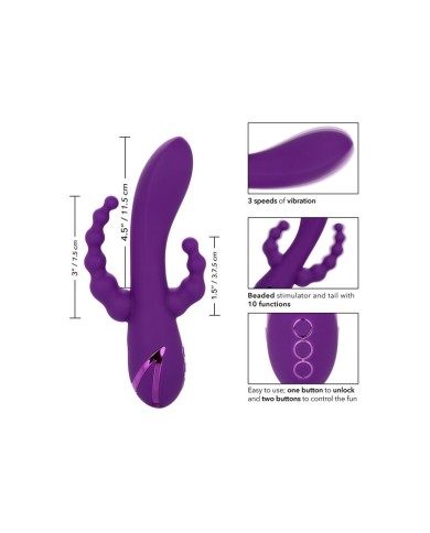 CALEXOTICS LONG BEACH BOOTYLICIOUS PURPLE CALEXOTICS LONG BEACH BOOTYLICIOUS PURPLE