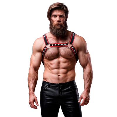 FETISH SUBMISSIVE ATTITUDE ARNES BULLDOG ECOPIEL PECHO HOMBRE NEGRO ROJO