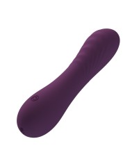 PRETTY LOVE ALEXISROSE VIBRADOR RECARGABLE 10 FUNCIONES MORADO