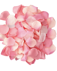 DIABLO PICANTE 100 PETALOS ROSA