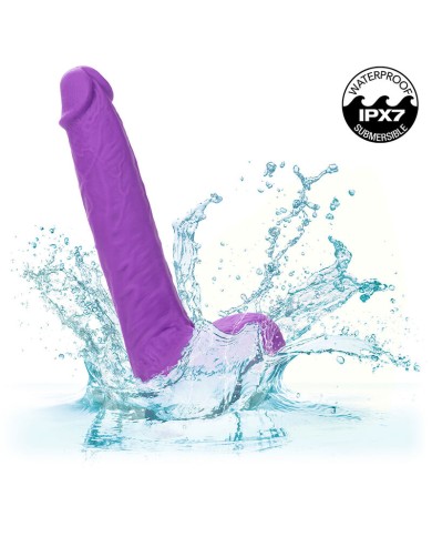 CALEXOTICS STUDS VIBRADOR RECARGABLE Y GIRATORIO 10 VIBRACIONES VIOLETA CALEXOTICS STUDS VIBRADOR RECARGABLE Y GIRATORIO 10 VIBRACIONES VIOLETA