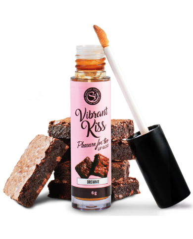 SECRETPLAY LIP GLOSS VIBRANT KISS BROWNIE SECRETPLAY LIP GLOSS VIBRANT KISS BROWNIE