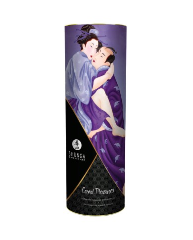 SHUNGA KIT COLECCION PLACERES CARNALES