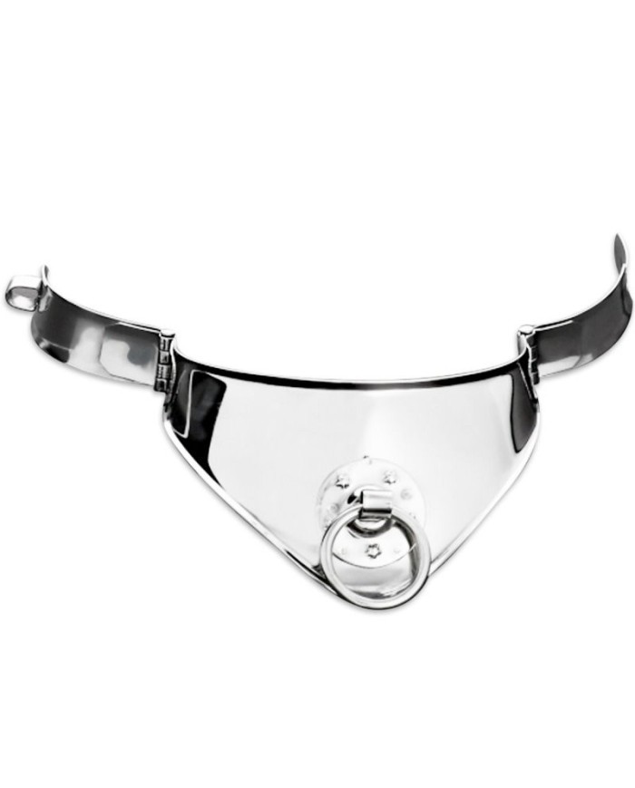 METAL HARD COLLAR RESTRICCION CON ANILLA Y CANDADO 125 CM