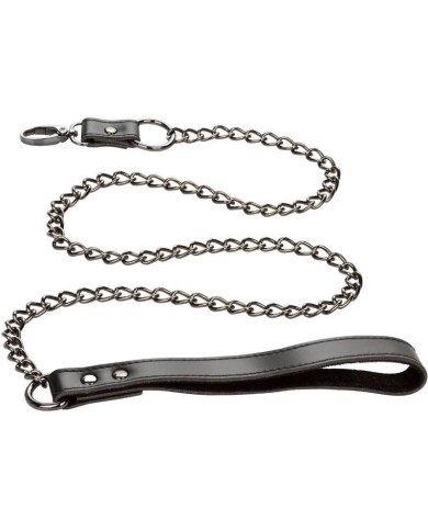 CALEXOTICS EUPHORIA COLLAR CON CORREA DE CADENA CALEXOTICS EUPHORIA COLLAR CON CORREA DE CADENA