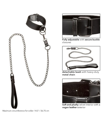 CALEXOTICS EUPHORIA COLLAR CON CORREA DE CADENA CALEXOTICS EUPHORIA COLLAR CON CORREA DE CADENA