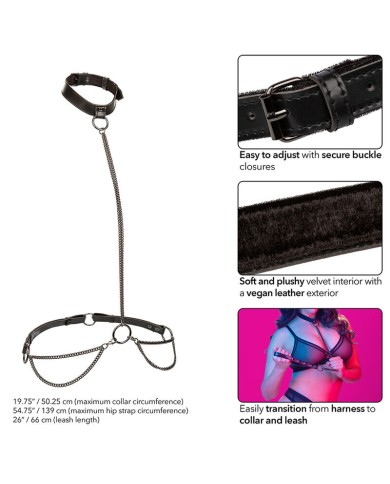 CALEXOTICS EUPHORIA COLLAR HALTER Y CORREA CON CADENA TALLA PLUS