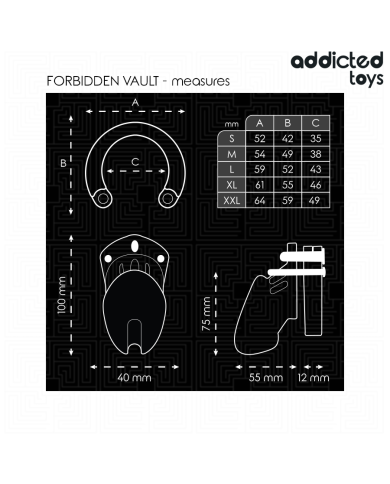 ADDICTED TOYS LOCKED FORBIDDEN VAULT JAULA PARA PENE 10 CM
