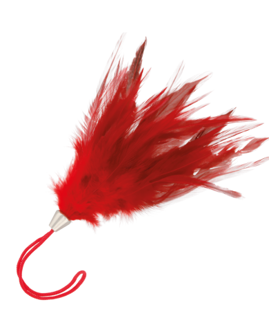 DARKNESS PLUMA ESTIMULADORA ROJO 17CM DARKNESS PLUMA ESTIMULADORA ROJO 17CM