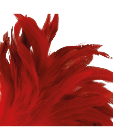 DARKNESS PLUMA ESTIMULADORA ROJO 24CM DARKNESS PLUMA ESTIMULADORA ROJO 24CM